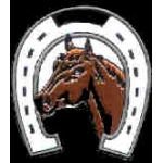 LUCKY HORSESHOE PIN